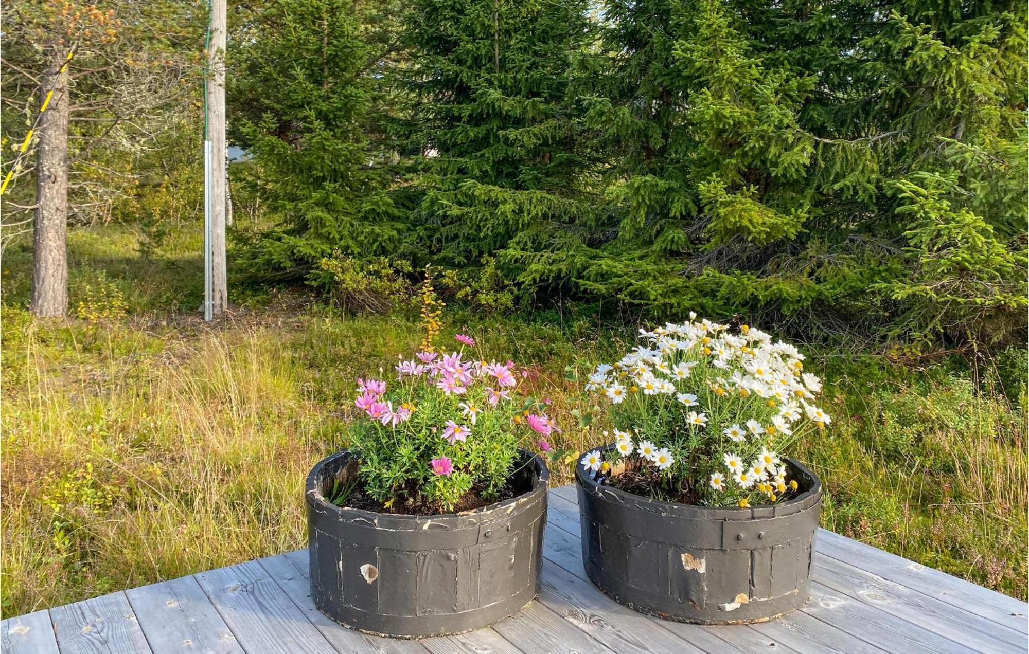 Lovely Home In Bjorli With Ethernet Internet Exterior photo